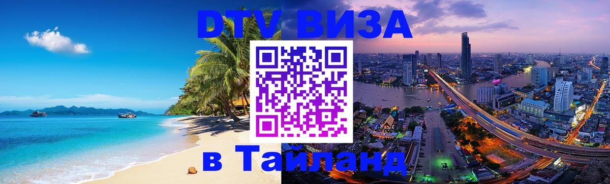 Оформление DTV визы под ключ: стоимость и тарифы, только загранпаспорт - 